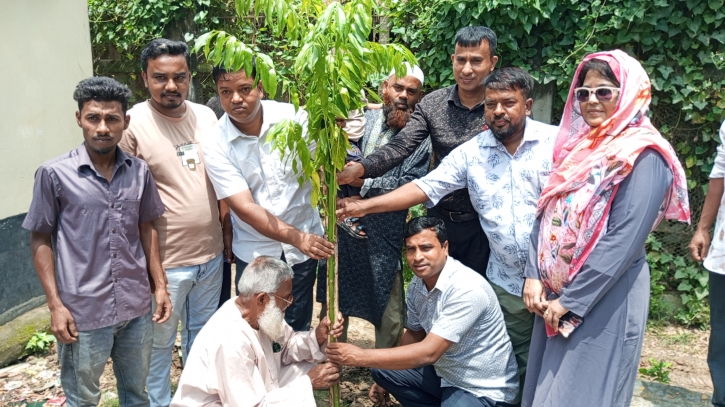 নুনগোলায় পলিকুকরুল সরকারি প্রাথমিক বিদ্যালয়ে বৃক্ষরোপণ কর্মসূচি পালন